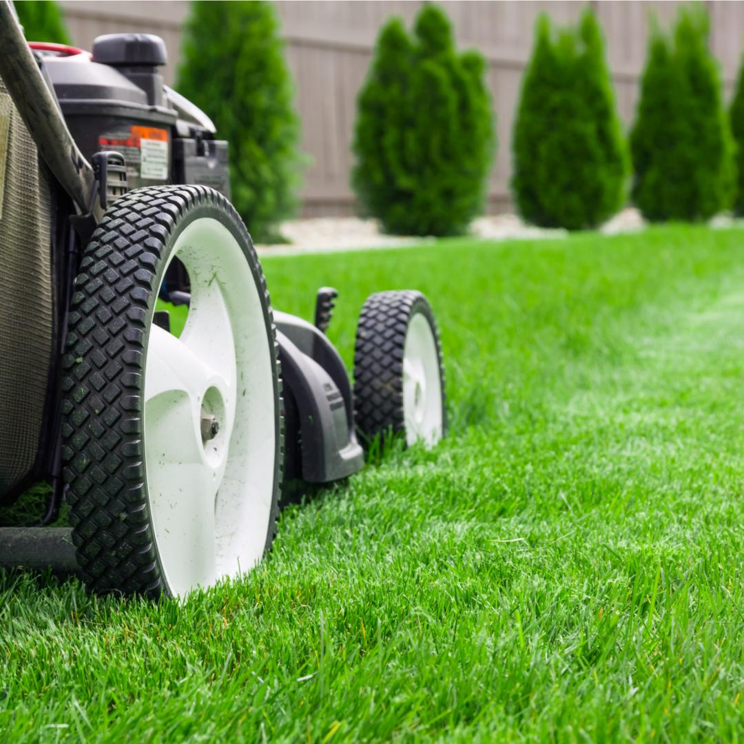 Affordable Lawn Care Near Me Prices