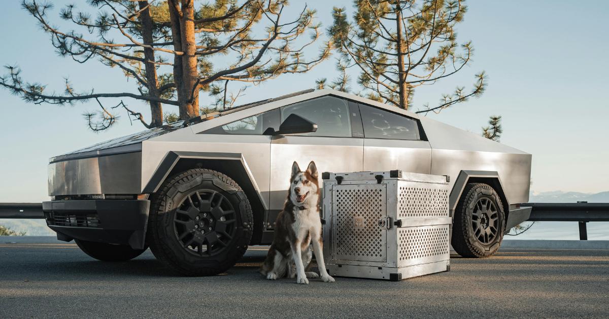 A dog in a cage placed in front of a sleek Tesla Cybertruck, highlighting the vehicle's unique design and futuristic appeal.